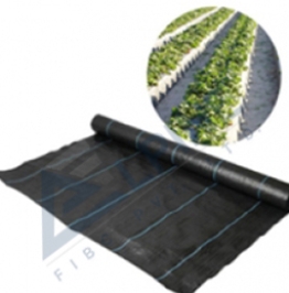 PP WOVEN GROUND COVER4