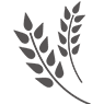 Grains